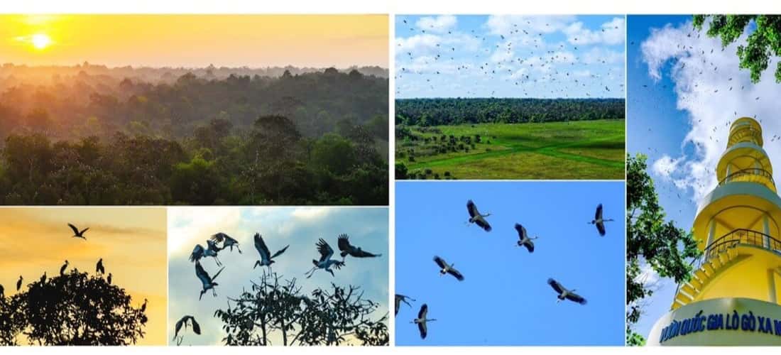 Đây là nơi lý tưởng để bạn tìm thấy sự yên bình, tĩnh lặng, và thư thái giữa thiên nhiên mênh mông.