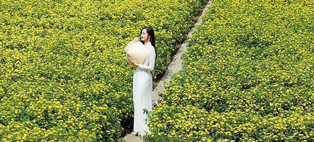 만딘홍 꽃밭(Man Dinh Hong Flower Garden)의 놀랍도록 아름다운 자연 경관