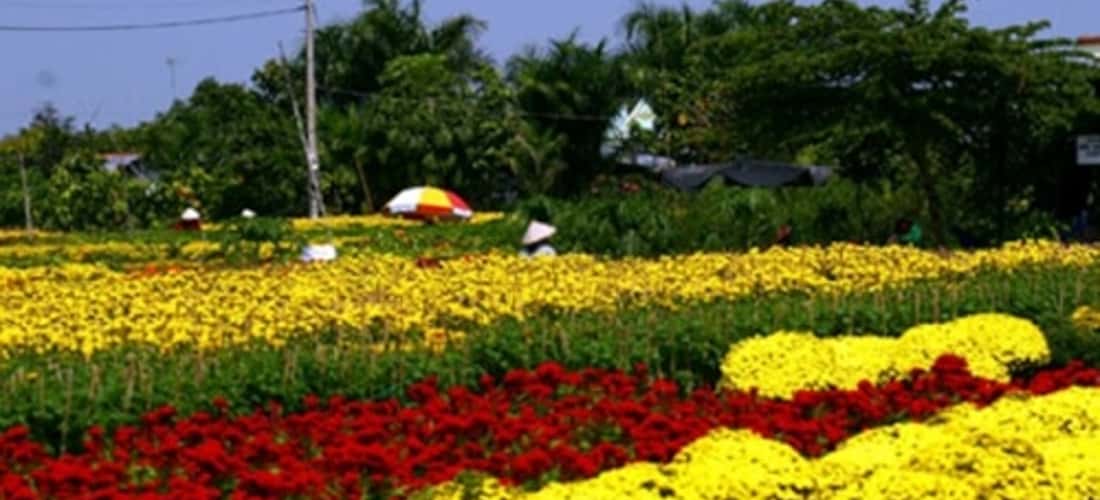 Làng hoa Mê Linh - Top 10 làng hoa đẹp nhất miền Bắc