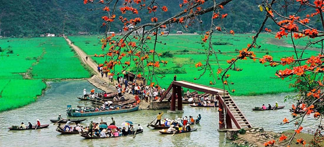 Hoa gạo nở rộ hai bên bờ suối Yến