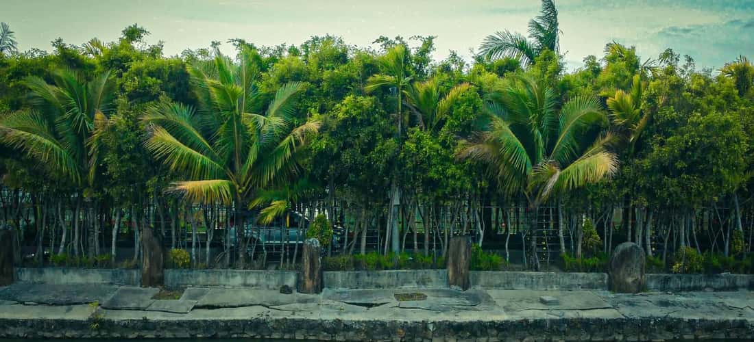 Với không gian xanh mát, khung cảnh đẹp và nhiều hoạt động thú vị, Phước Sơn đã trở thành một trong những địa điểm du lịch được yêu thích nhất ở Việt Nam.