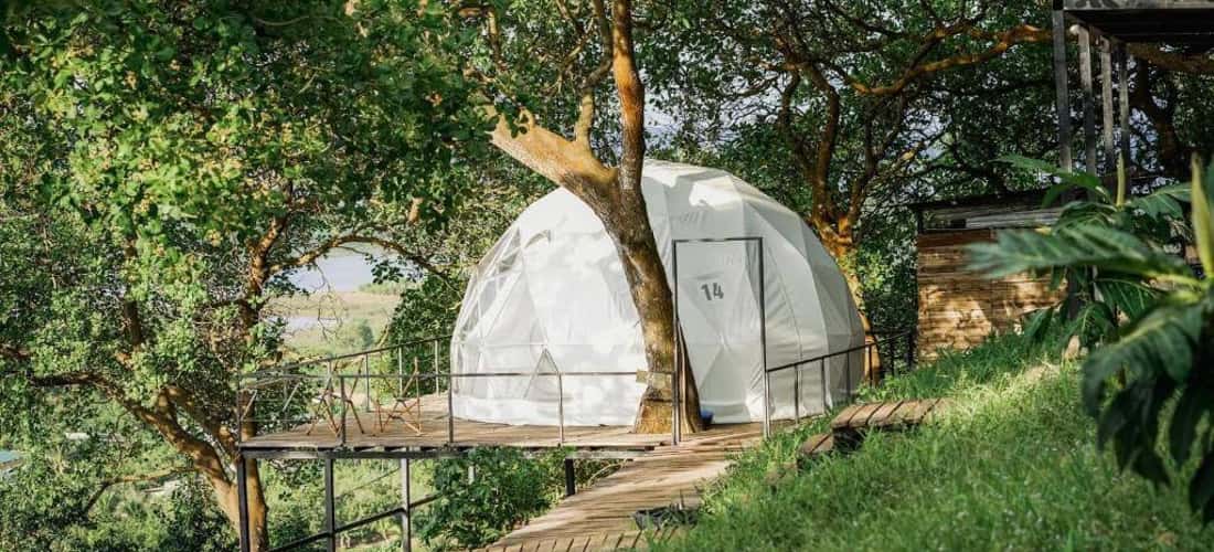 Cách TP.HCM chỉ với 2 giờ lái xe (96km), khu cắm trại Tropical Eglamping tọa lạc ở một vị trí đắt địa trên ngọn đồi cao với rừng điều cổ thụ vài chục năm tuổi