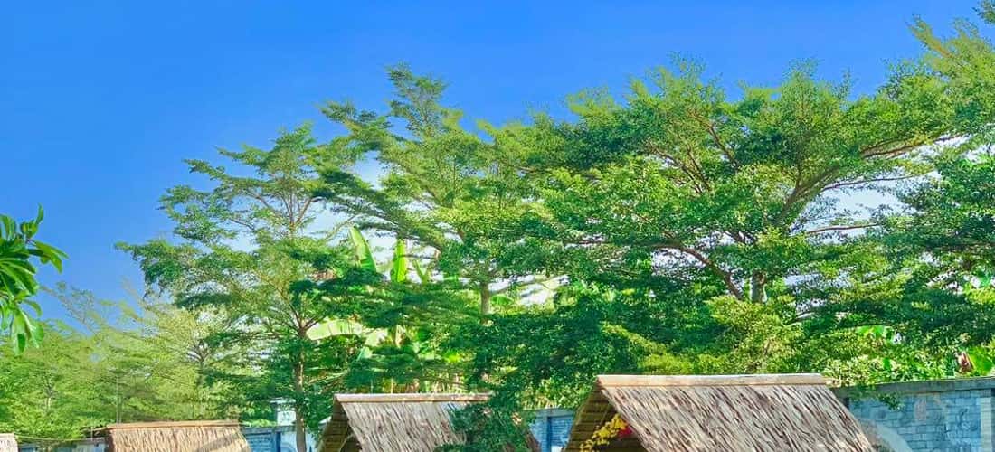 旅游区还拥有西式景观,从成排成荫的树木、蜿蜒的荷塘到果实累累的果园。