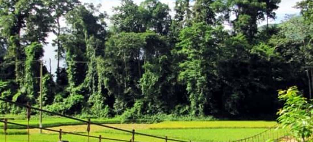 Xã Bản Hon sở hữu cảnh quan thiên nhiên trong lành, xanh mát.