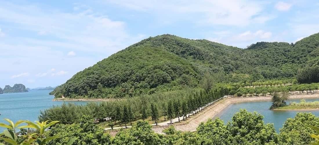 Không gian xanh mát trên đảo Thẻ Vàng Quảng Ninh