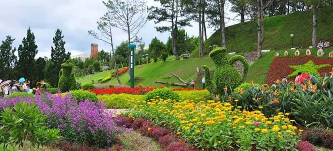 Vườn hoa thành phố Đà Lạt - địa danh nổi tiếng hàng đầu xứ sở sương mù