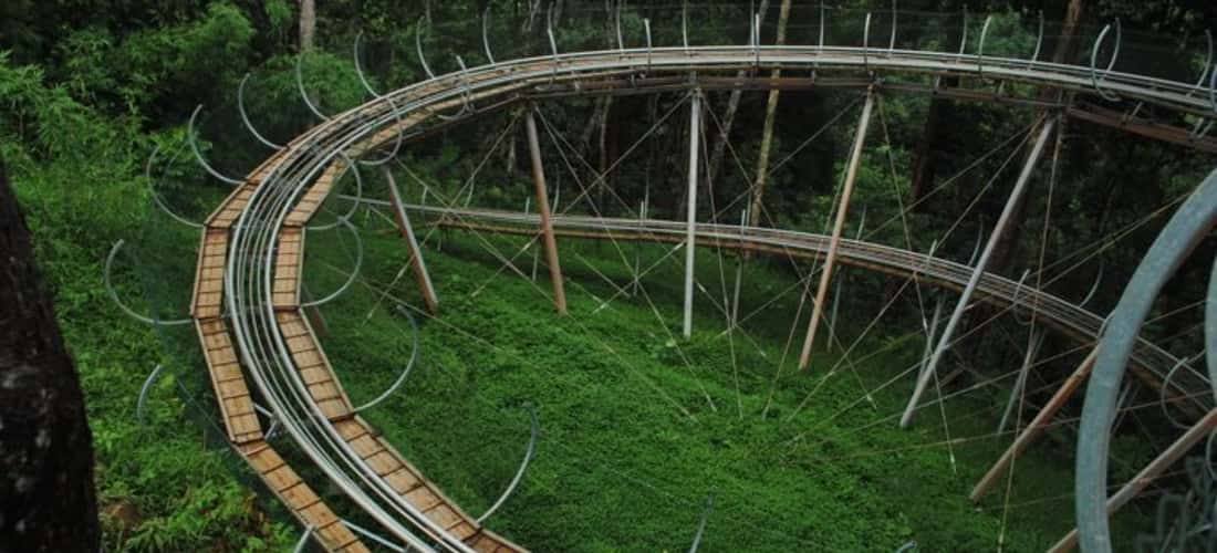 Đường trượt này sẽ đưa bạn thưởng ngoạn toàn cảnh thác nước Dambri và thác Dasara