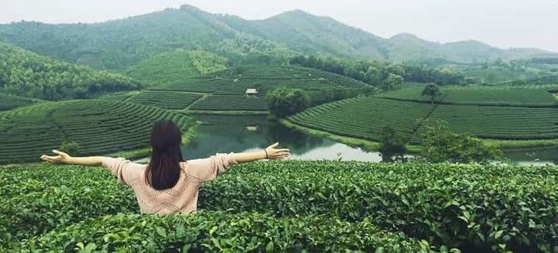 参观新疆茶文化空间，你会有很多难忘的经历。