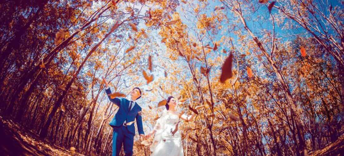许多新人也选择布当橡胶林作为拍婚纱照的地点。