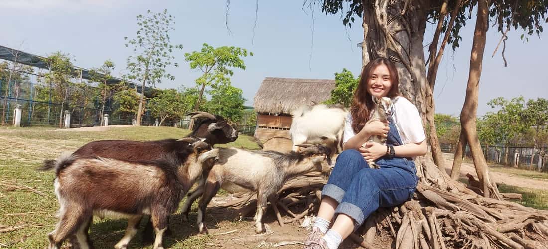 Bạn có thể cho ăn và vuốt ve một số loài động vật “thân thiện”