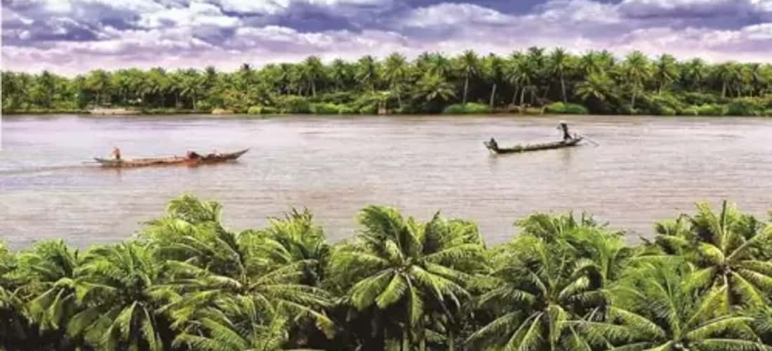 Khu vực du lịch sinh thái hấp dẫn - Cù Lao Thới Sơn