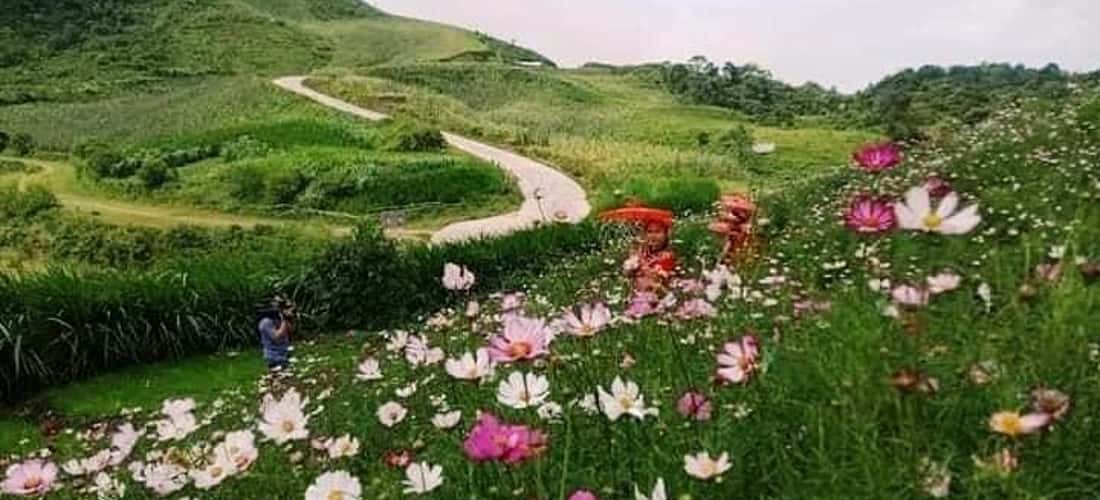 Bức tranh thiên nhiên trong veo tuyệt đẹp ở Mù Là.