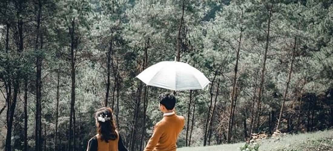 Nơi đây là địa điểm lý tưởng để các cặp đôi hẹn hò.