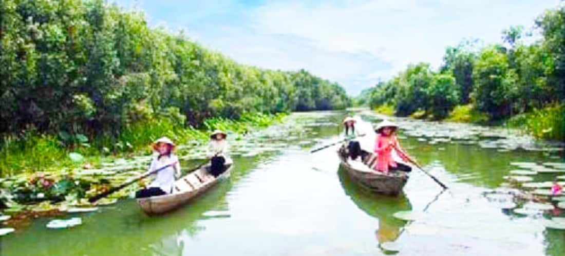 Du thuyền sông nước tại khu bảo tồn ngập nước Láng Sen