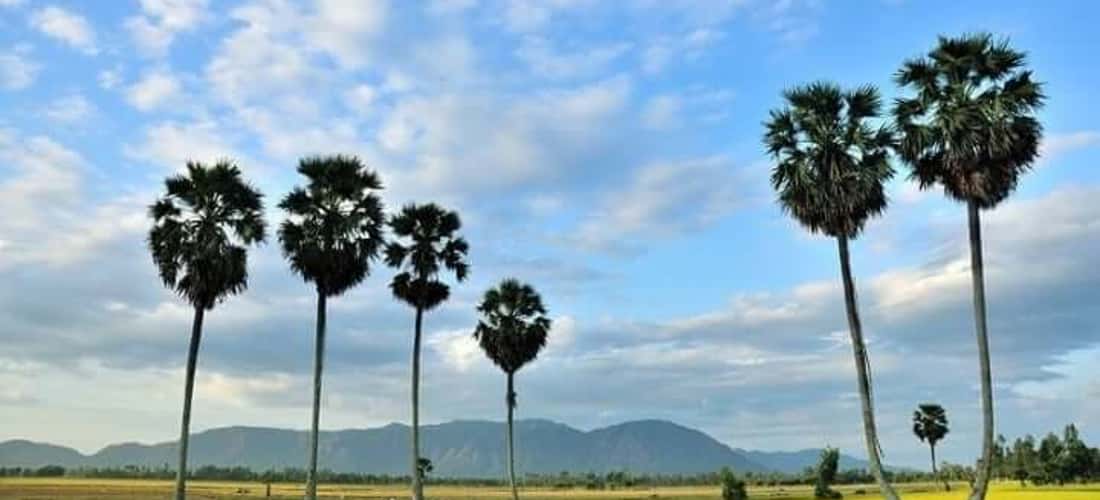 从8月到11月,安江再次沉浸在浩瀚的水海之中,自然风光更加浪漫,帮助您轻松感受南方人民的生活。