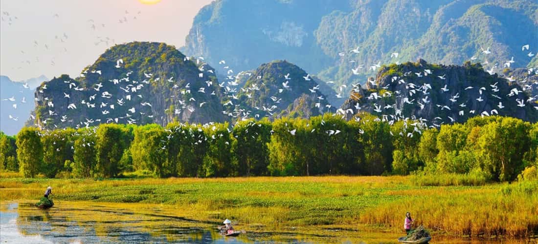평화로운 마을의 Thung Nham Bird Garden