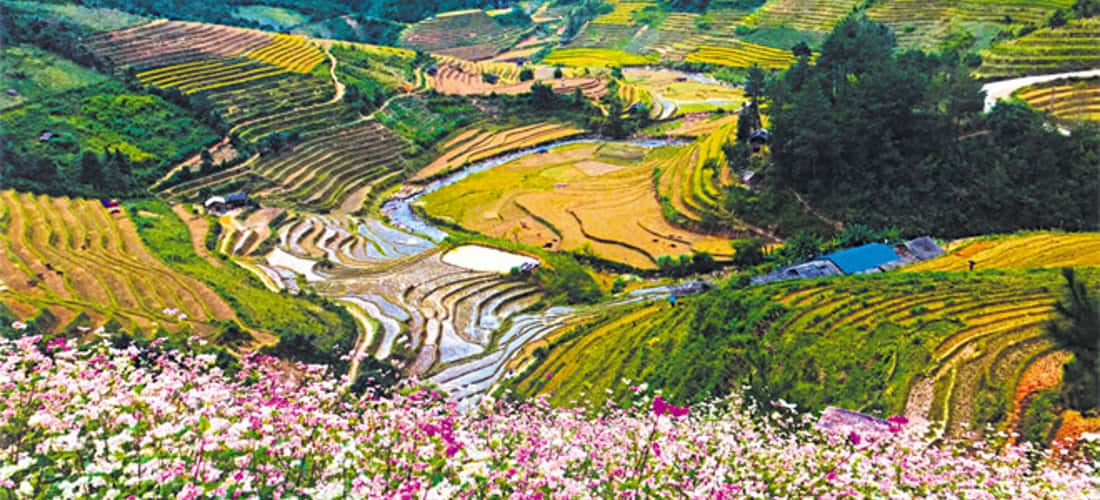 Homestay ở xã La Pán Tẩn