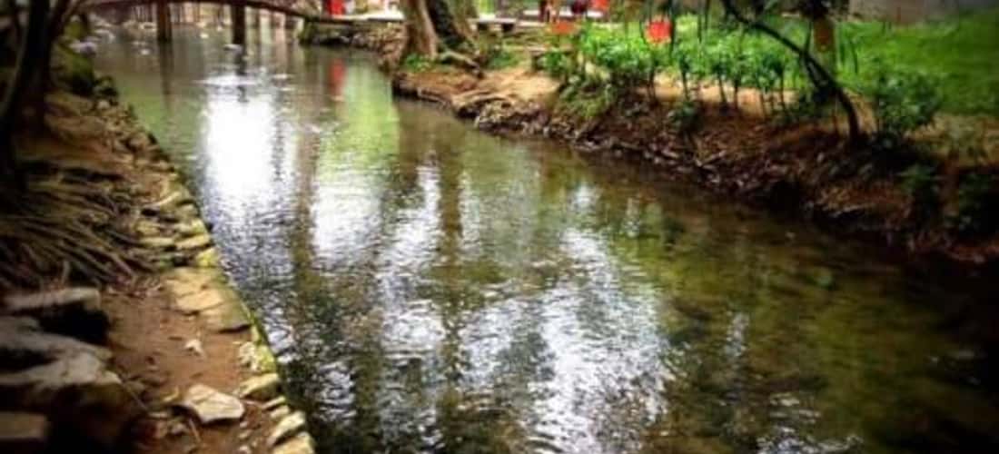Câu chuyện ly kỳ liên quan đến suối Cá Thần