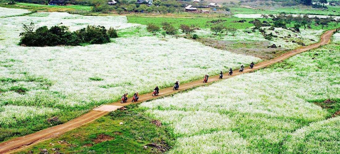 Bản Thung Cuông hằng năm vẫn thu hút rất nhiều khách du lịch ghé thăm