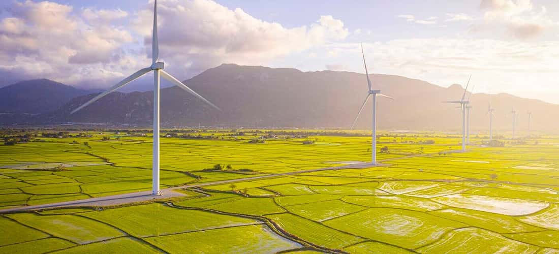 稻谷时节的Dam Nai风力发电场就像大自然赋予宁顺土地和天空的绿色造物图