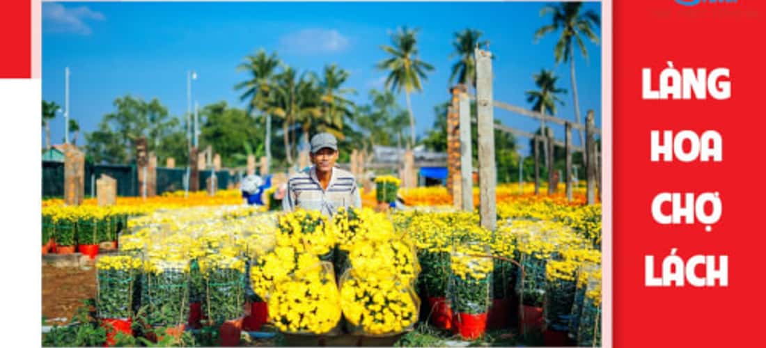 Làng hoa Cái Mơn, Chợ Lách
