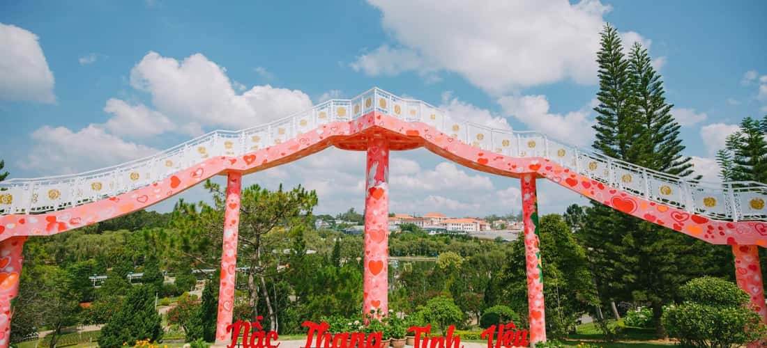 Vườn hoa Đà Lạt khoe sắc như những tác phẩm hội họa sống động.