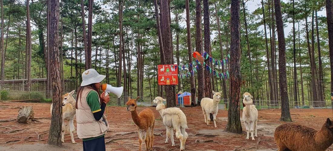 Zoodoo大叻动物园位于林同省Lac Duong区Da Nhim社94A分区，距大叻市中心约34公里。