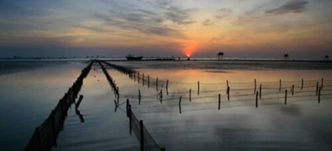 Bình minh ở khu du lịch sinh thái Cồn Đen