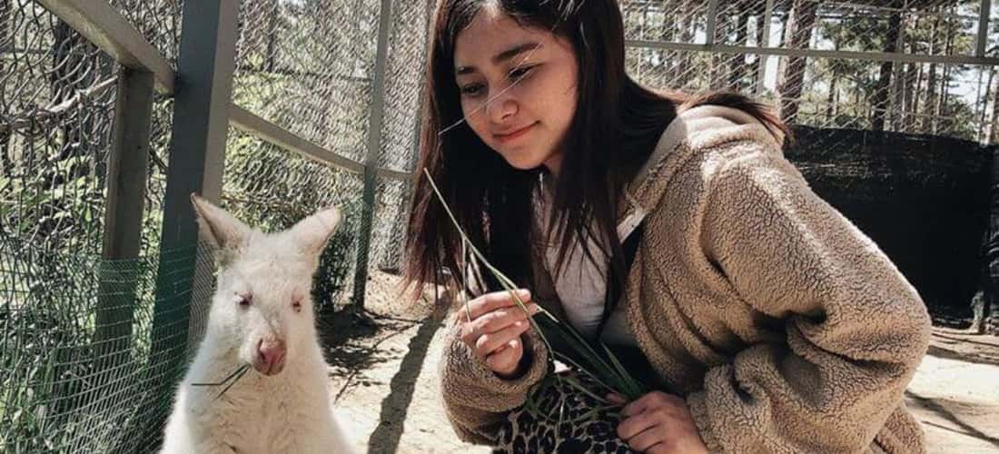 Vườn thú Zoodoo Đà Lạt là nơi mà những bé động vật hứa hẹn sẽ “đốn gục” con tim bạn khi lần đầu ghé thăm.
