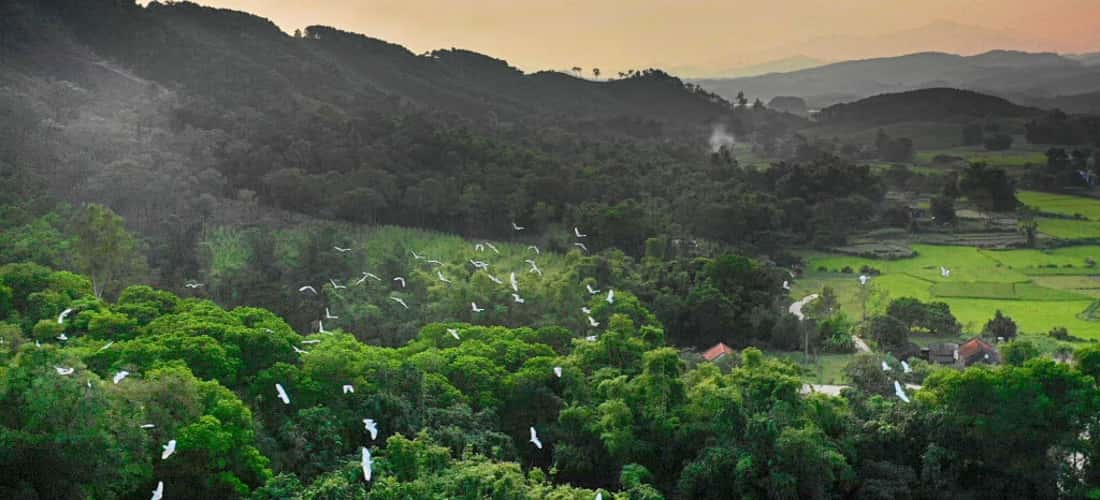 화산의 평화로움은 수천 마리의 황새가 이곳에 와서 집을 짓는 조건입니다.