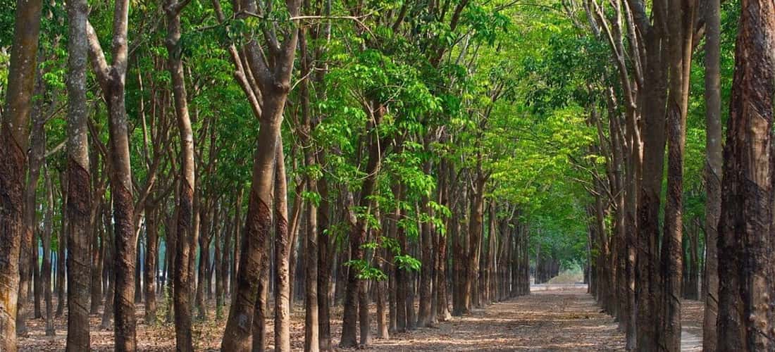 Ngắm cảnh đẹp như tranh vẽ