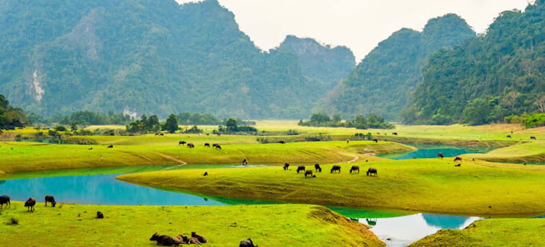 Vẻ đẹp bình yên nên thơ tại thảo nguyên Đồng Lâm