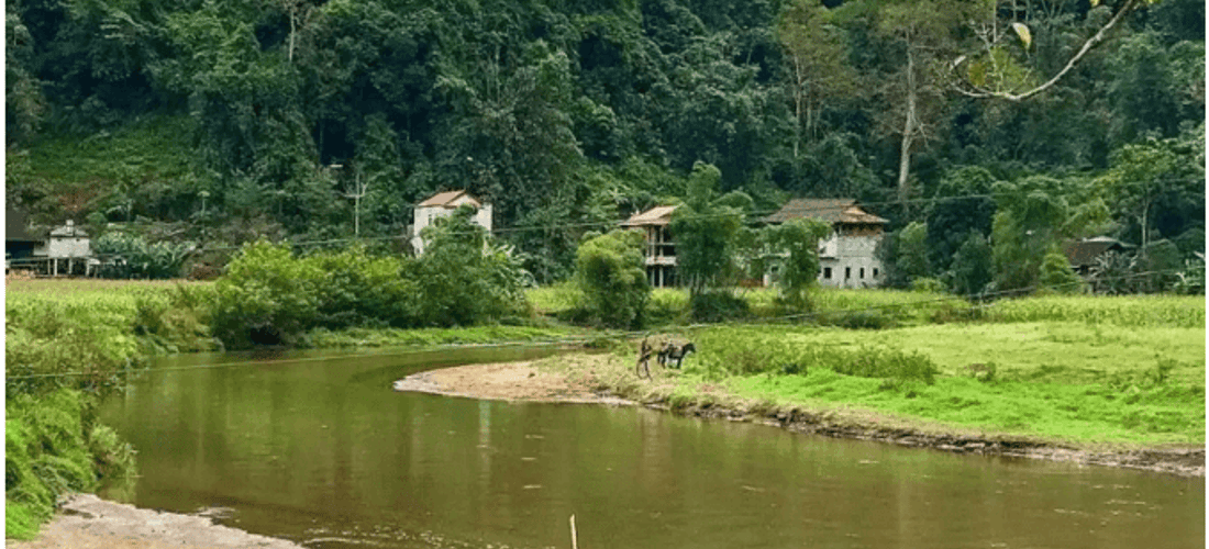 Những nếp nhà sàn cổ ẩn mình giữa núi rừng Bắc Kạn.