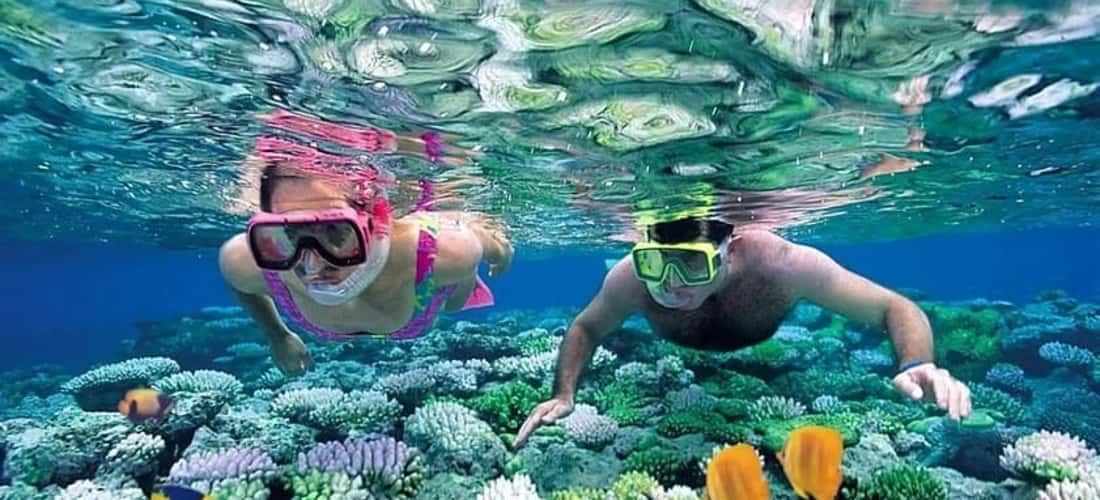 Tới đây, bạn sẽ được tham quan hang yến và khám phá những rạn san hô đầy màu sắc