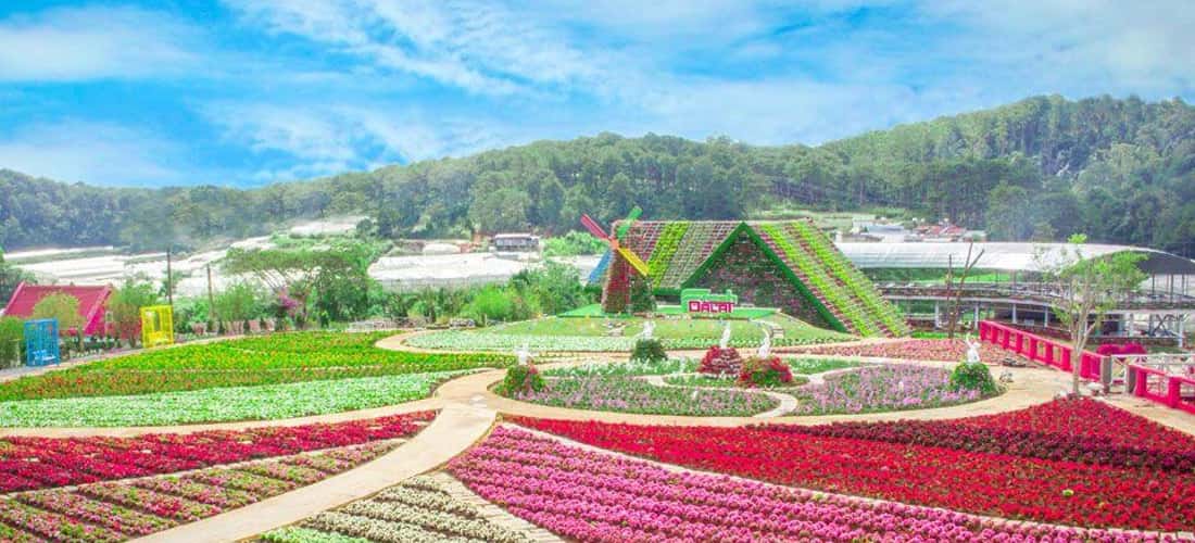 Một góc Fresh Garden Dalat với đủ gam màu rực rỡ, bắt mắt