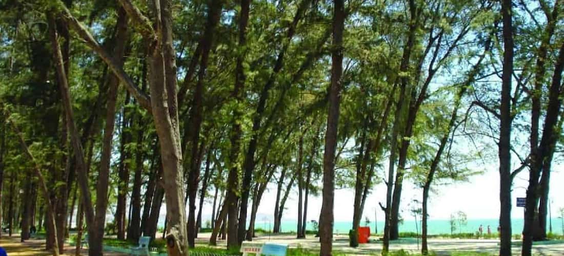 Mùa hè là lúc nhiều du khách đổ về công viên Đồi Dương nhất