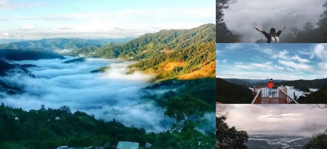 这里被认为是一个微型的大叻旅游胜地,等待着您的探索。