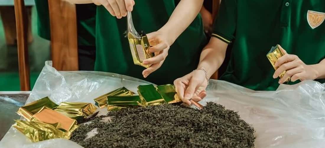 来到这里,你将了解茶文化。