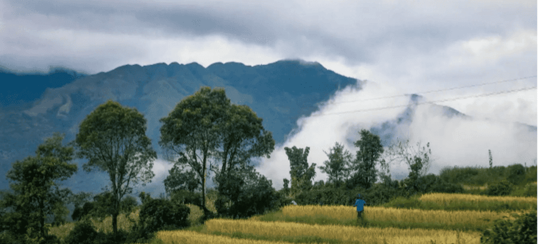 Mây sà xuống ruộng bậc thang