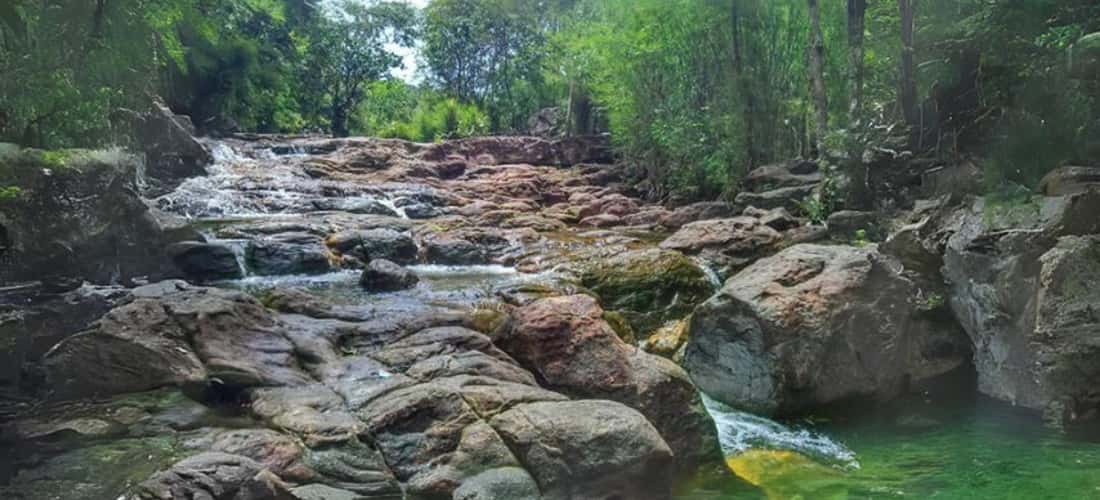 거대한 Cau 산군 한가운데, Truc Tay Ninh 강은 광활한 숲 한가운데에 짜여져 굽이쳐져 있습니다.