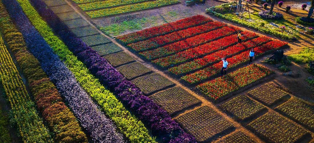 Khu du lịch Khai Trung luôn có một sức hút đặc biệt đối với du khách