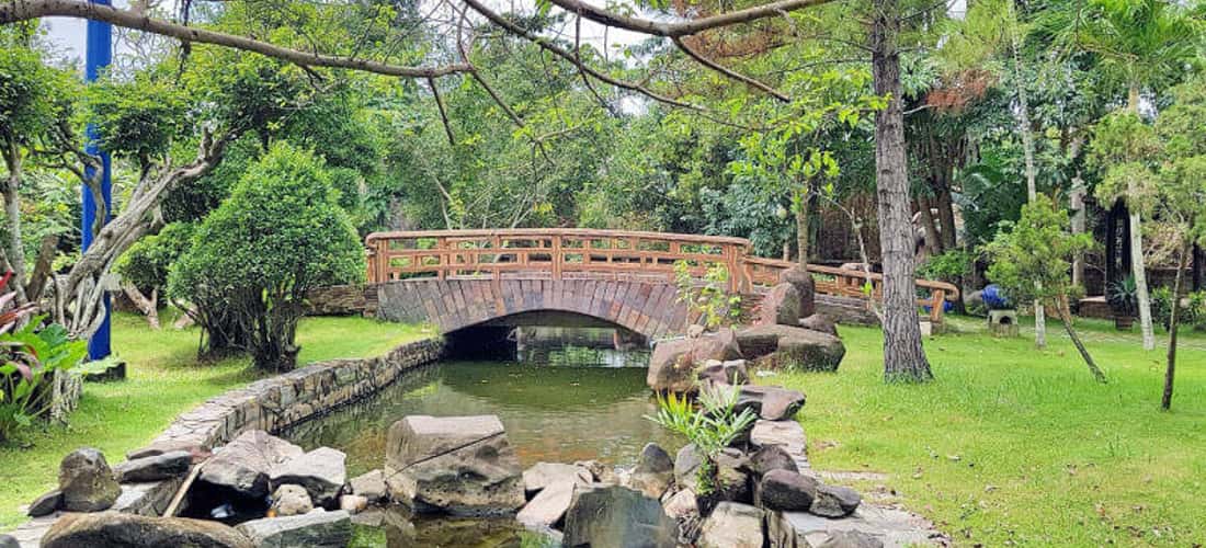 Bên trong làng cổ là khuôn viên xanh vô cùng mát mẻ, dễ chịu