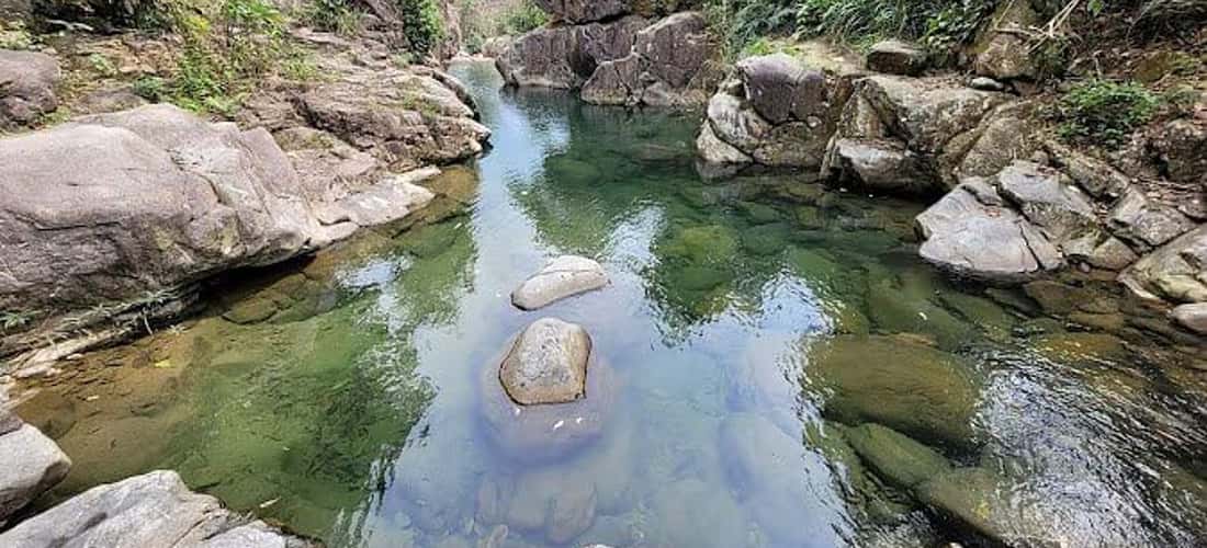 大葱溪水清凉。