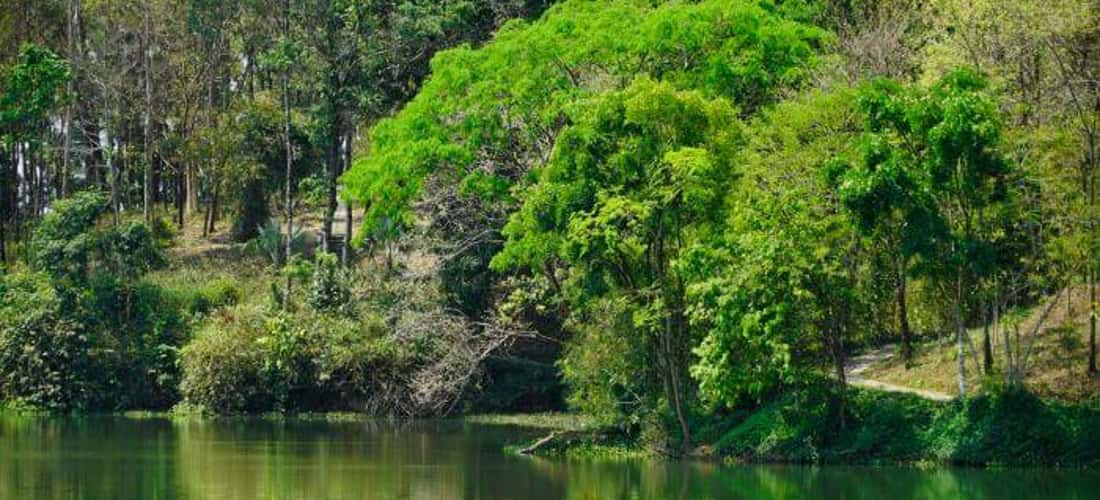 Hồ Trúc Đắk Nông - 'lá phổi xanh' thơ mộng giữa lòng Cư Jút