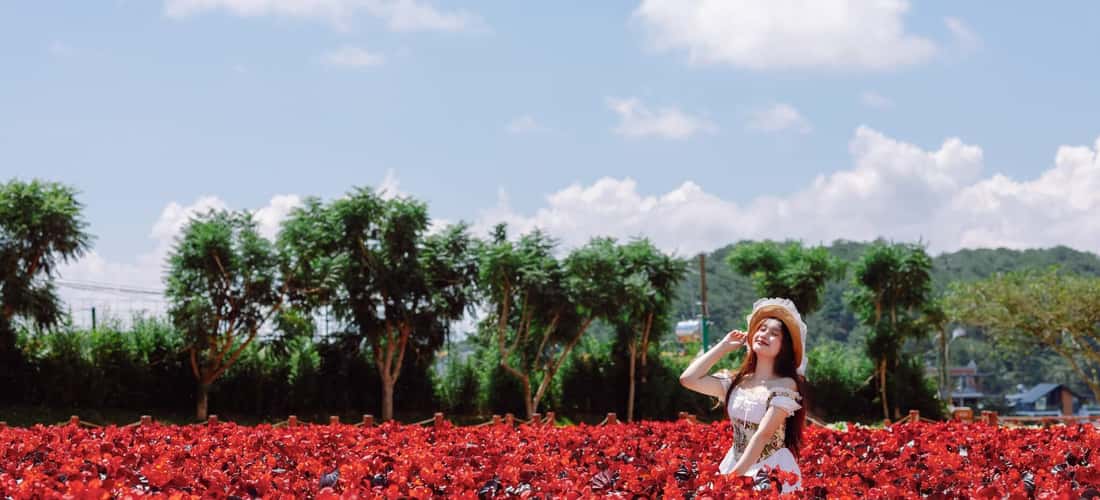 Fresh Garden Dalat 是一个旅游胜地,您可以花一整天的时间欣赏美丽的风景,并以许多优质角度拍摄打卡照片。