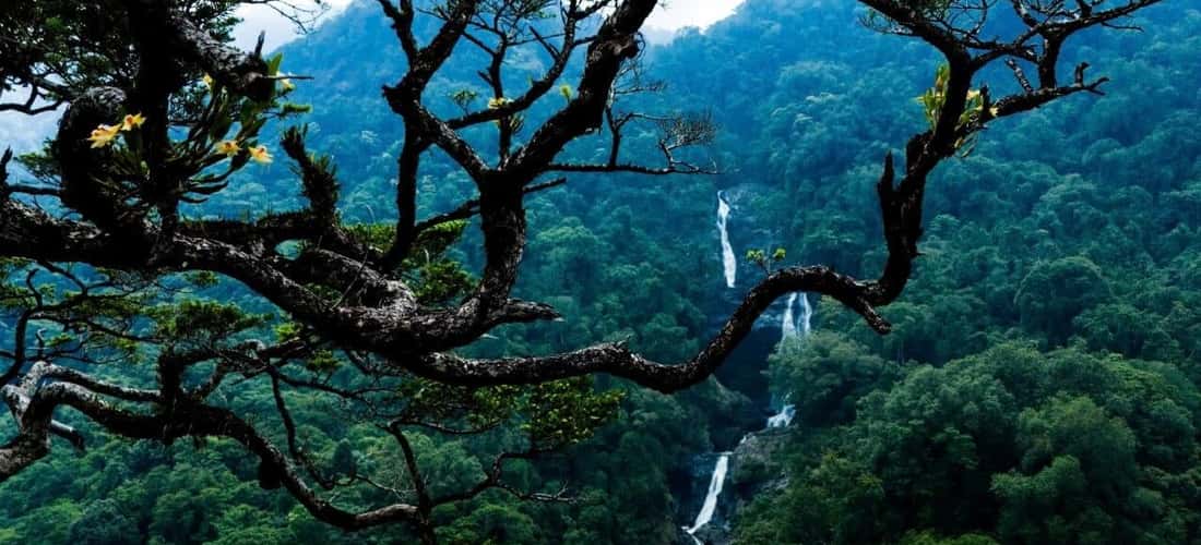 Thác nằm ở lưng chừng dãy núi Văn Peo vắt ngang ở phía Bắc, thuộc địa phận xã Đăk Na (huyện Tu Mơ Rông).