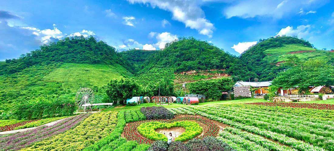 Ngắm nhìn không gian xinh đẹp của Mộc Châu Happy Land