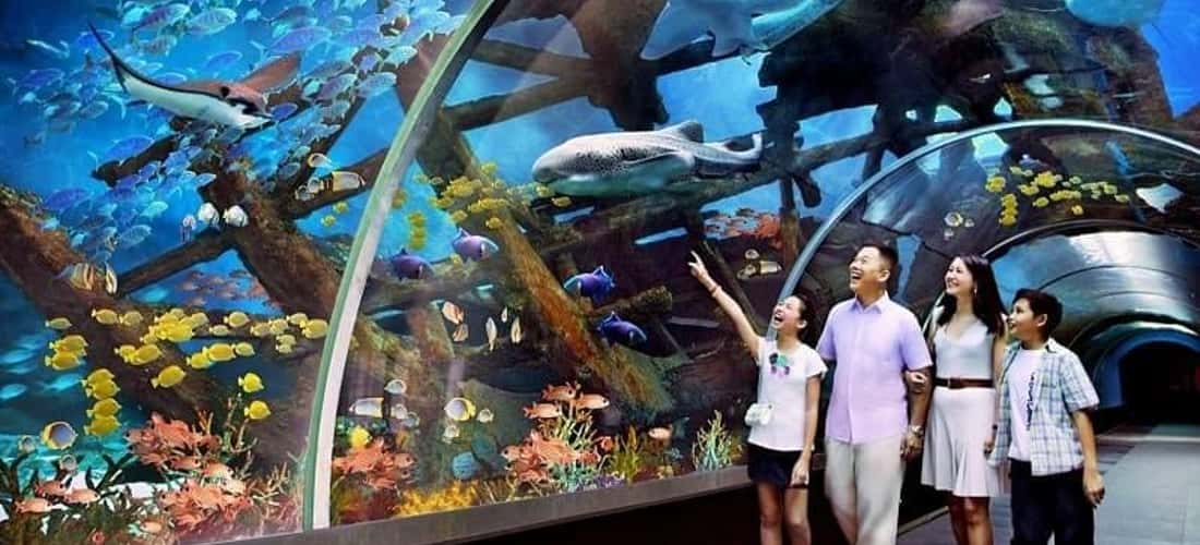 芽庄珍珠岛水族馆