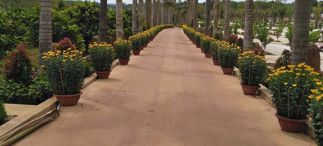 Phước Sơn được trang hoàng với vẻ đẹp độc đáo, thu hút ngay từ con đường dẫn vào khu du lịch.