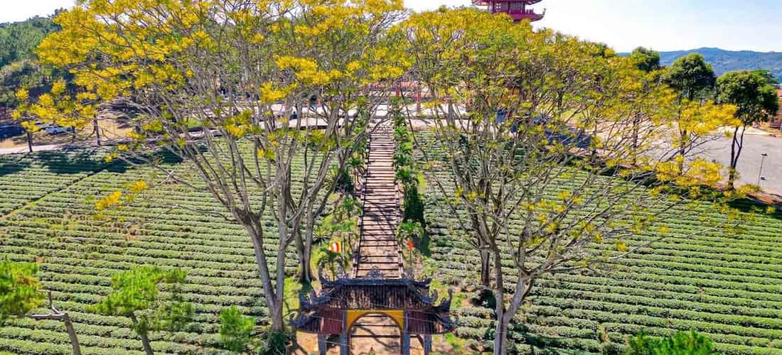 Thời điểm đẹp nhất để đến tu viện Bát Nhã và du lịch Bảo Lộc sẽ là khoảng từ tháng 12 đến tháng 4.